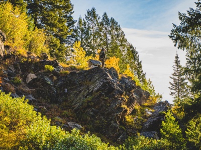 Hunting Idaho has many advantages, including guaranteed tags